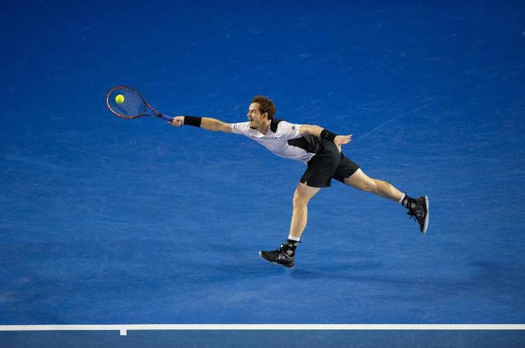 2013年澳大利亚网球公开赛