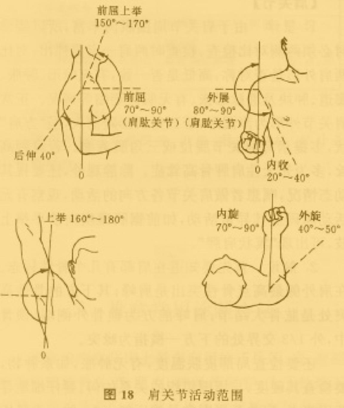 关节活动度(图18)如下