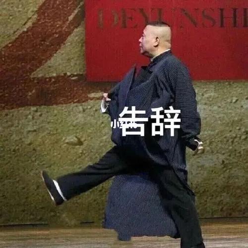 表情包 ii 告辞_表情包_素材_表情包