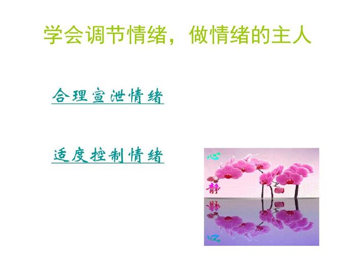 心理健康主题班会《学会做情绪的主人》ppt课件