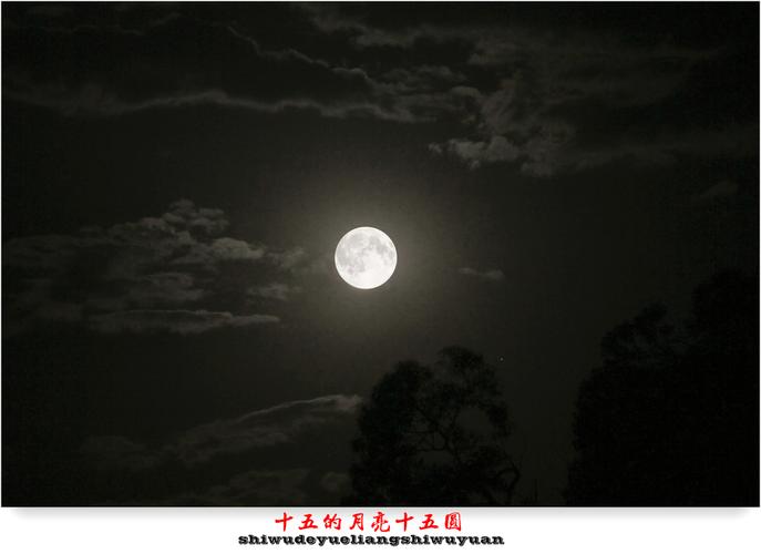 十五的月亮十五圆