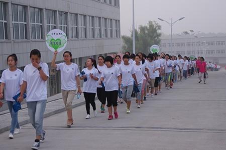 弘宇文化到底是什么?为什么有人就像着迷了一样?