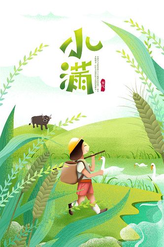 3设计师桃酱路桑 小满手绘24节气海报 lv.4资深设计师