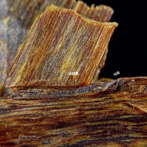 奇楠_沉香_美食_美食展示_普通美食展示