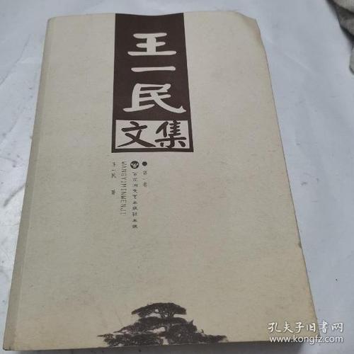 王一民文集