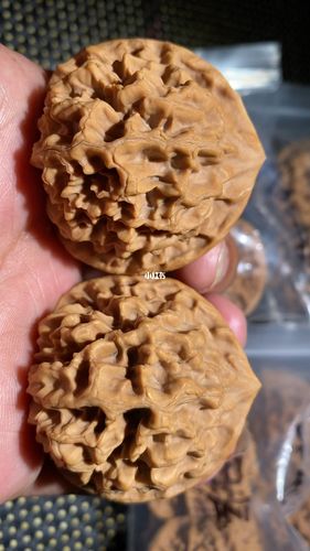 时尚_核桃_文玩_狮子头_文玩核桃