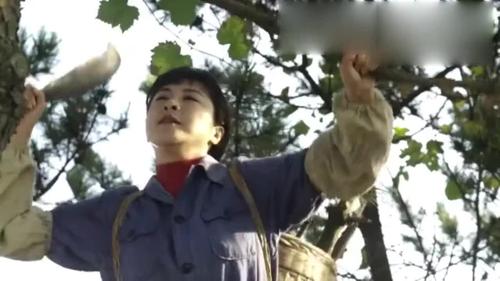 王天柱隔山望着林秋雯,在监狱还不放心秋雯