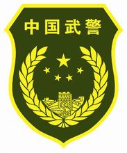 武警2007式臂章