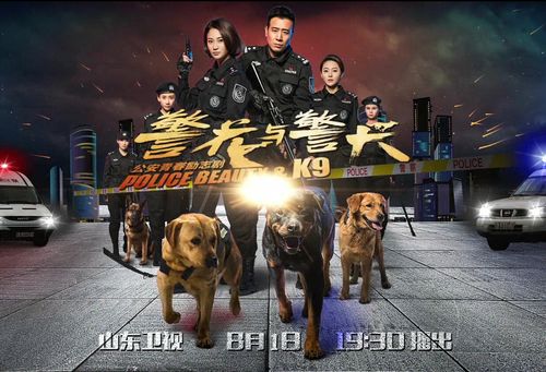 霸王警花撞上冷面队长 山东卫视《警花与警犬》演绎别样爱情