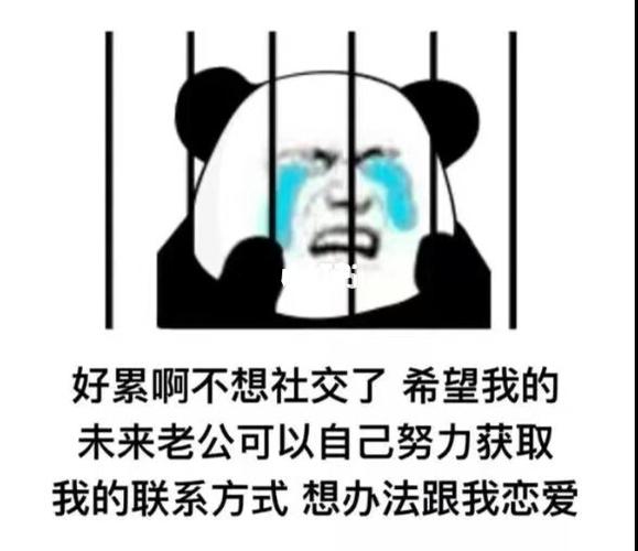 〖朋友圈表情包〗_表情包_朋友圈_恋爱_表情包分享_素材_表情包