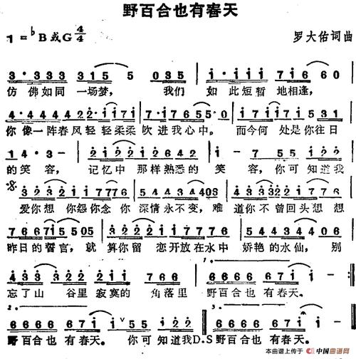 苏芮演唱金曲:野百合也有春天