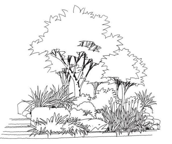 史上最全 | 手绘教程,教你如何画好景观手绘