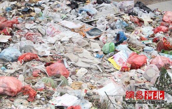 【衡水市某路口垃圾长期堆放 恶臭席卷小吃一条街】