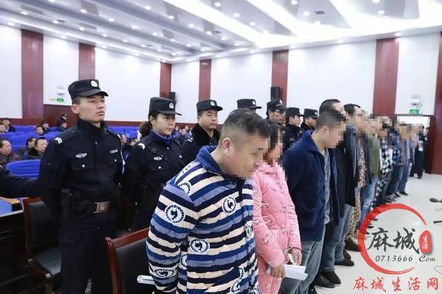 扫黑除恶第一年,麻城警方刑事拘留涉黑恶犯罪嫌疑人328人 批准逮捕305