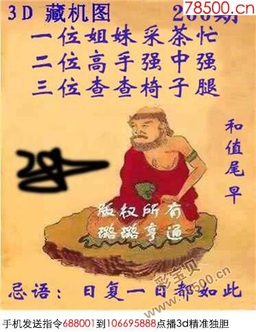2018年266期3d正版藏机图 新版藏机图