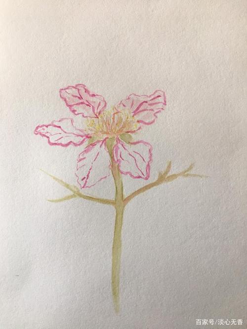 手绘美丽的紫薇花