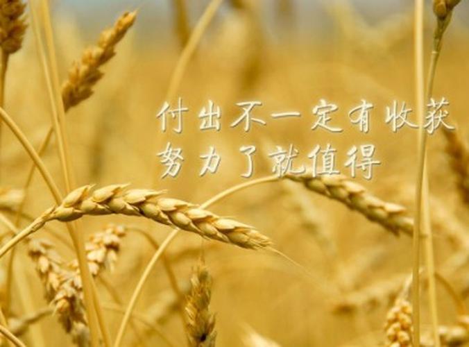 奋斗过,不后悔 www.jiongtu8.com