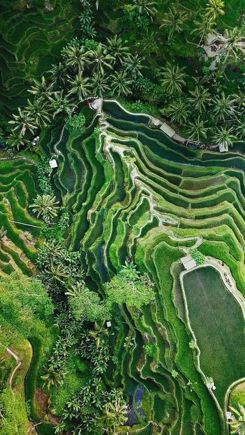 美丽的梯田景观
