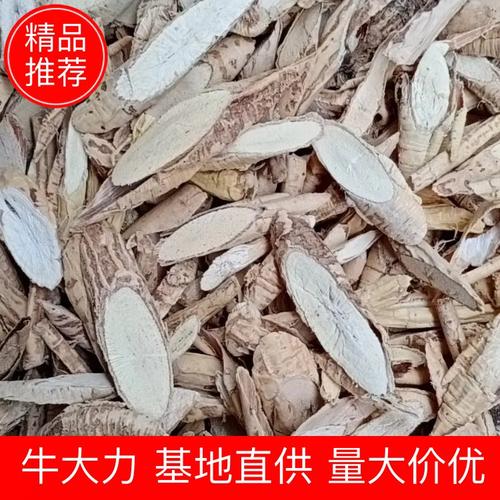 牛大力灰皮的小圆牛产地直肖价格便宜视频看货