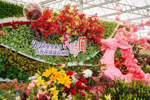 里水这条游线获奖啦游花海探古村划龙舟附攻略