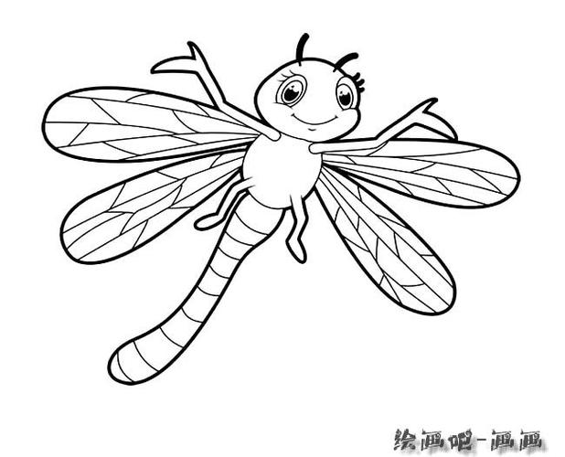 卡通蜻蜓简笔画图片
