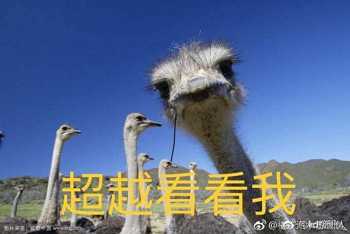 【表情包】鸵鸟系列