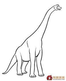 学画画儿童画教程简笔画恐龙简笔画儿童简笔线描画恐龙图片大