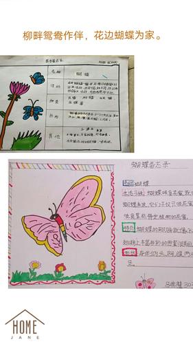 特别的课堂,别具一格的昆虫备忘录