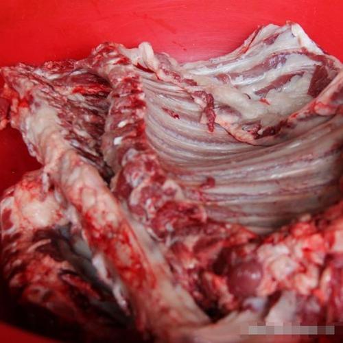 猪肉贵,猪肉,生猪,非洲猪瘟,母猪