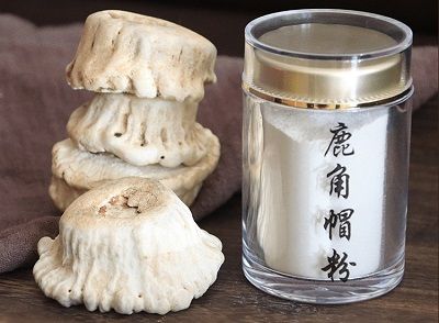 鹿角帽粉要怎么吃才好分享三种效果翻倍的吃法
