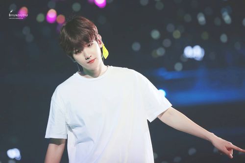 边伯贤演唱会壁纸