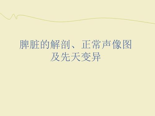 脾脏解剖及超声基本扫查ppt