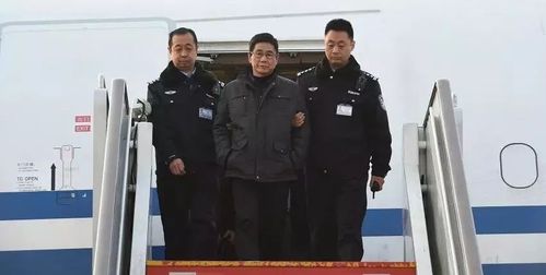 本周,1名红通人员归案,1人接受审查调查,1人被"