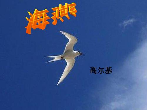 高尔基《海燕》ppt课件(31页)