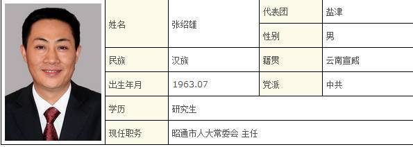 昭通市委书记市长副书记人大主任政协主席分别属于哪个代表团随团审议