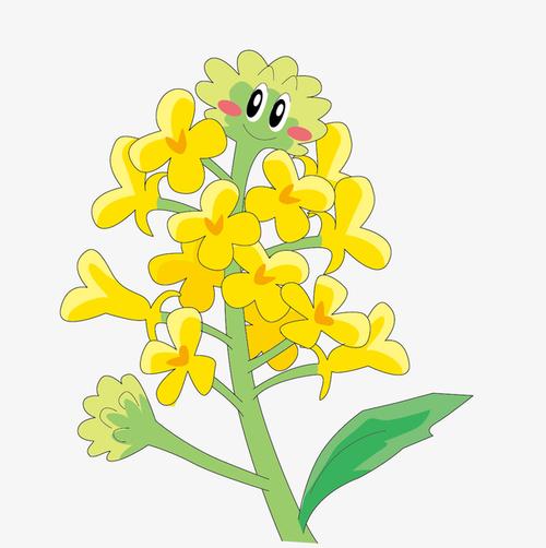 黄色卡通油菜花免抠