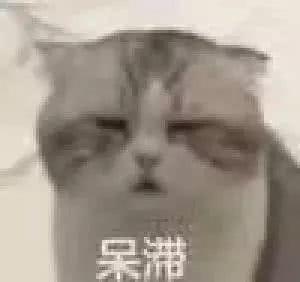 表情包:目光呆滞的表情包合集