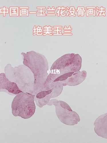 中国画—玉兰花没骨画法_玉兰花_绘画_寻找小红书绘画