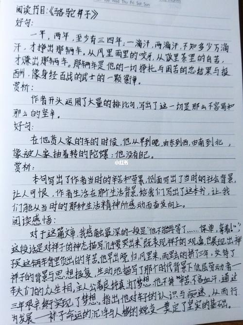 七年级下册《骆驼祥子》第一章 读书笔记 字丑勿喷 可能会和其他的一