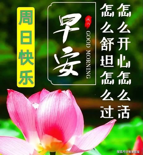 原创2021年5月23日星期天清晨早上好问候祝福动态表情图片