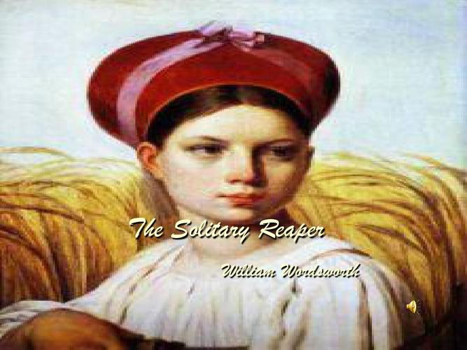 the solitary reaperppt
