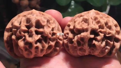 帝王狮子头_狮子头_核桃_文玩_文玩核桃_兴趣爱好