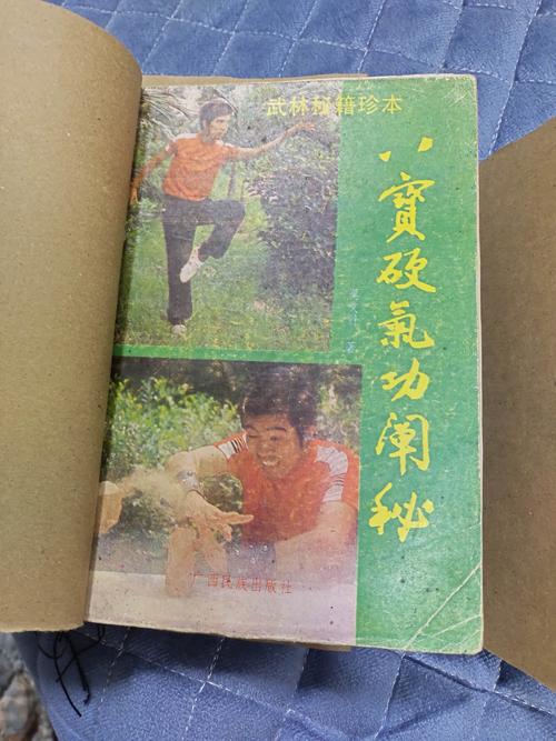中国武术南少林八宝门掌门人莫文丹所有著作图片
