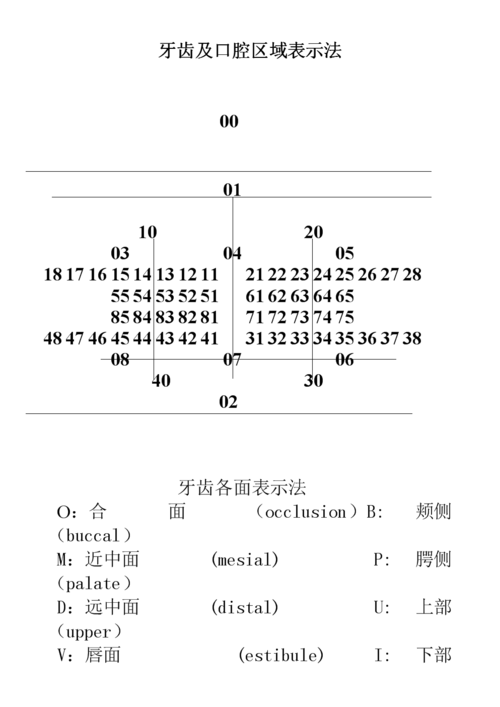 牙齿及口腔区域表示法 .doc