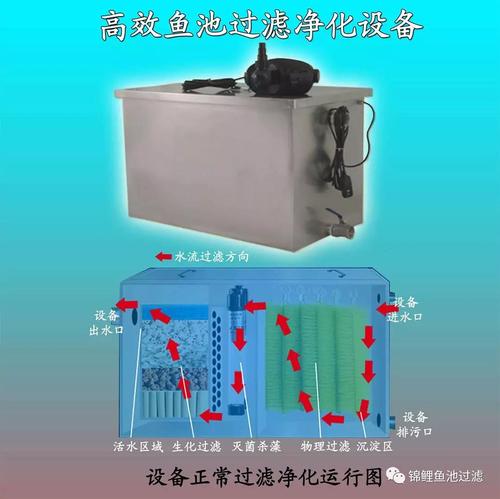 庭院鱼池水清鱼靓的秘密,选对过滤系统功不可没!