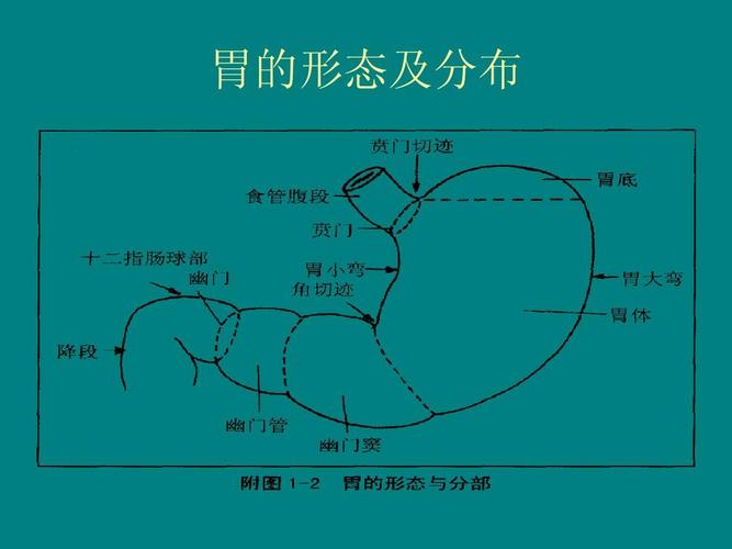 ok上消化道穿孔的护理