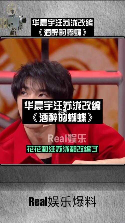华晨宇汪苏泷改编《酒醉的蝴蝶》_华晨宇_娱乐_综艺