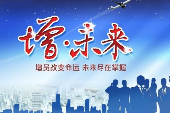 高保保险网