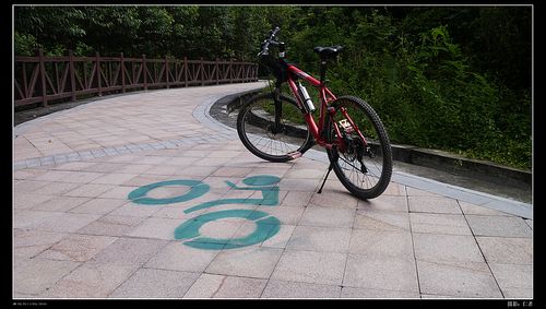 深圳凤凰山绿道随拍!