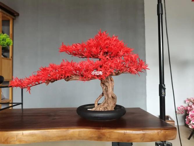 流水摆件,玄关装饰品等_摆件_玄关_家居_装饰品_盆景_家居摆件_家居